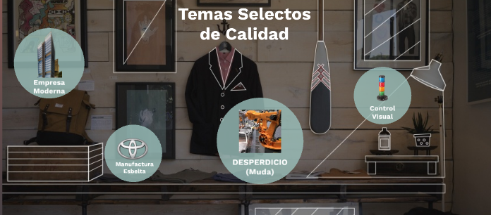 TEMAS SELECTOS DE CALIDAD